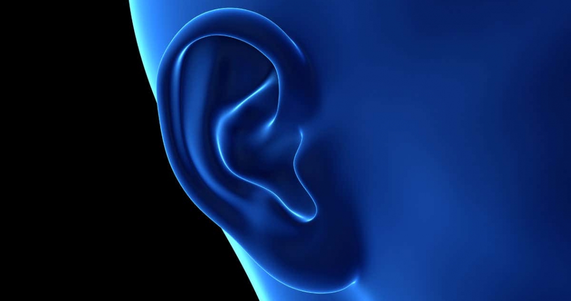 8 curiosidades sobre os ouvidos