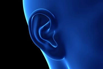 8 curiosidades sobre os ouvidos